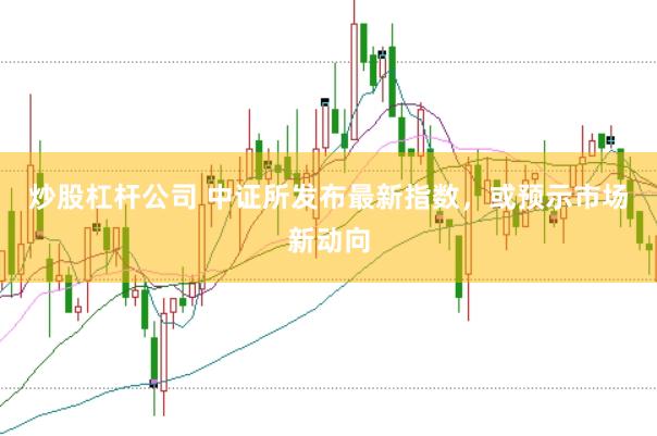 炒股杠杆公司 中证所发布最新指数，或预示市场新动向