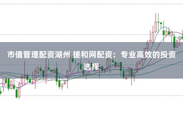 市值管理配资湖州 搓和网配资:专业高效的投资选择