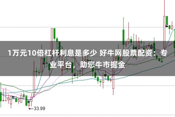 1万元10倍杠杆利息是多少 好牛网股票配资：专业平台，助您牛市掘金