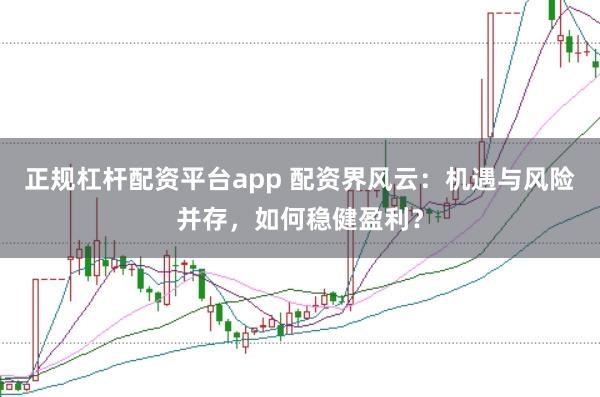 正规杠杆配资平台app 配资界风云：机遇与风险并存，如何稳健盈利？