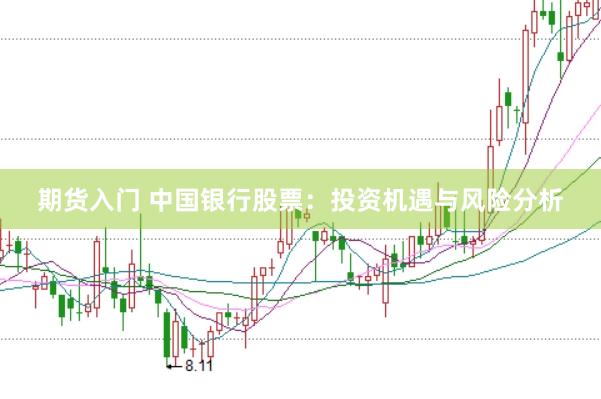 期货入门 中国银行股票：投资机遇与风险分析